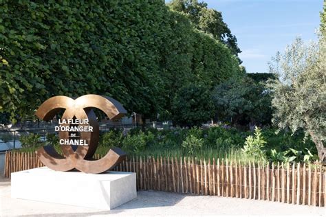 giardino negozio chanel parigi|Il nuovo giardino profumato di Chanel a Parigi .